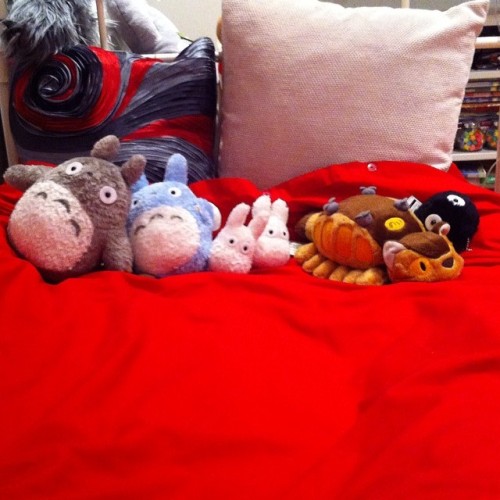 Chilling with my buds #studioghibli #myneighbourtotoro #totoro #catbus #sootsprite #ghibliplush #plu