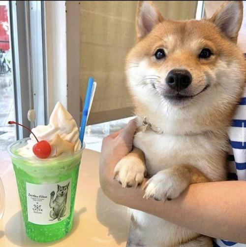 hitmewithcute