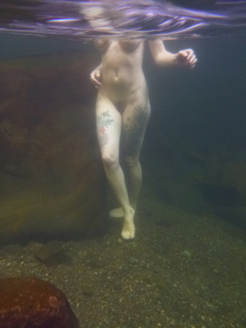 artemis-gg:  waterbird Finch Linden by Artemis Moonlate June, 2015