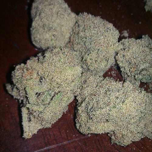 weedporndaily:  @cannabiscommunity Kief covered nugs💪💯 by dankshots420 http://ift.tt/1ec4fw5