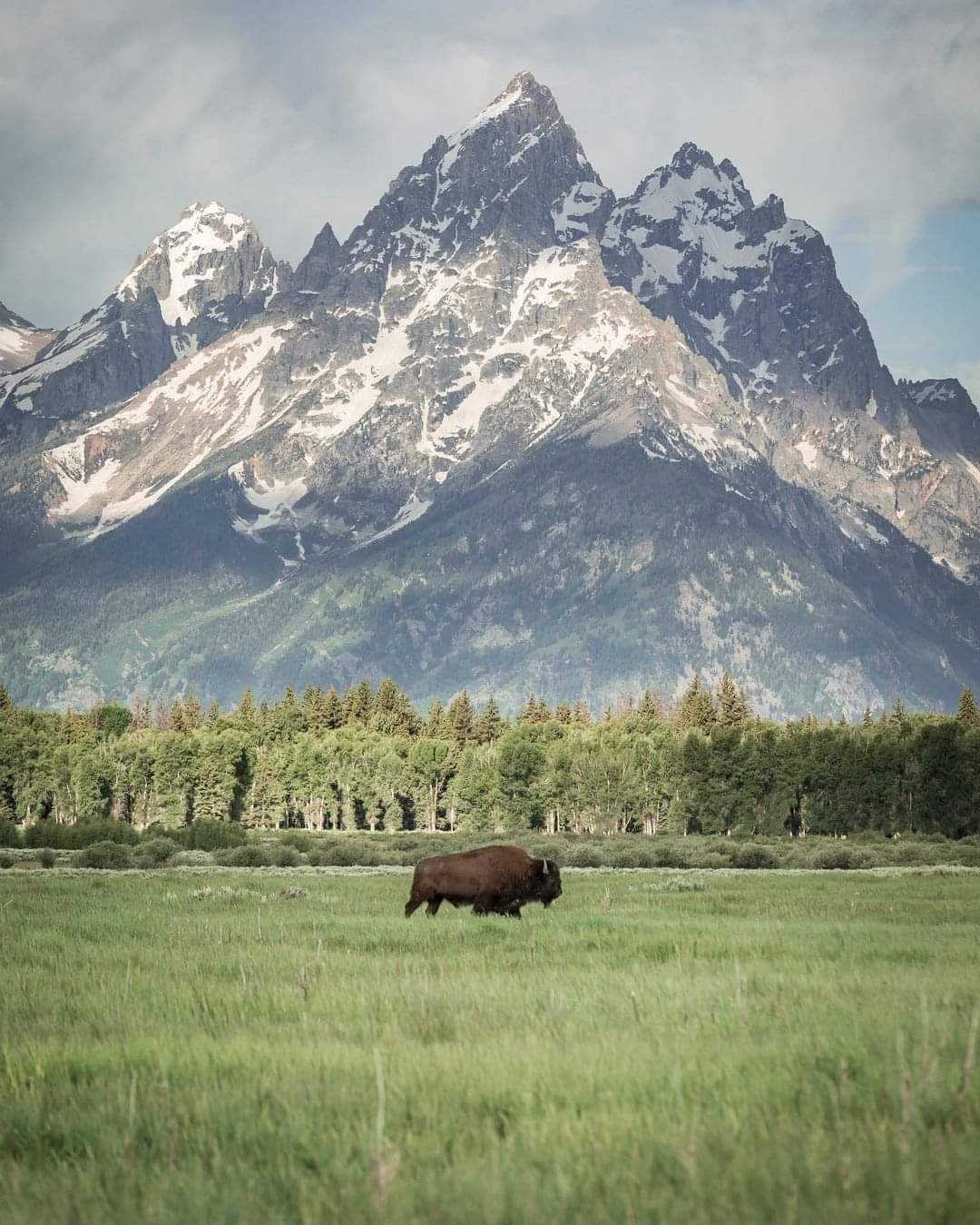 mutant-distraction:Grand Teton