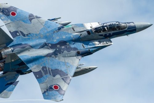 bmashine:F-15DJ from the Aggressor group.