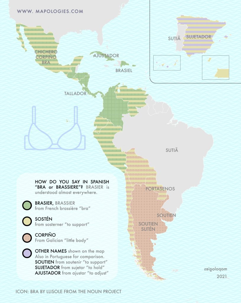 Bra in Spanish: brasier, sostén, corpiño, - Maps on the Web