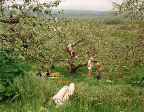roseromances:nosurfing:britticisms:“The Orchard” (1998) by Justine Kurland, now cover ar