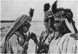 rhapsodical:       touba:  women of the ouled
