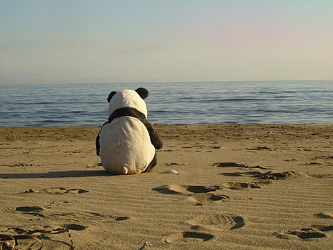 (via sexpectinq, pandy)