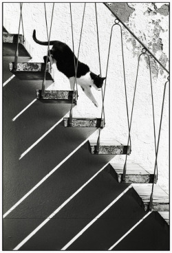 Handa:  Cliqueclogs:  (Petapeta:)(Tantarotaro:)(Ak47:)(Eurekaeureka:)(Muibrog:)(Lucky7Death13:)(Nonacat:)(03W:)(Via