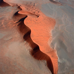 Shapes of the Namib Desert photo by Ladislav
