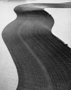 Dust Bowl, CO deep furrows made by farmers to counteract windphoto by Margaret Bourke-White, 1954