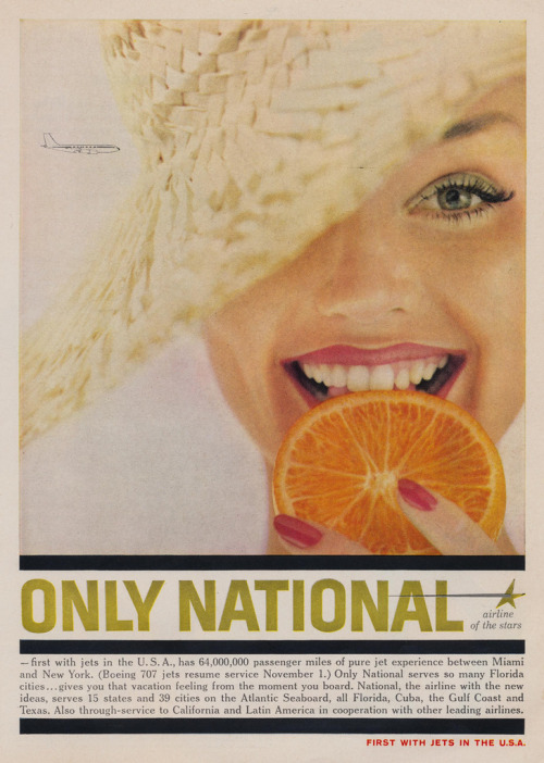 Only National via: What Makes The Pie Shops Tick?
