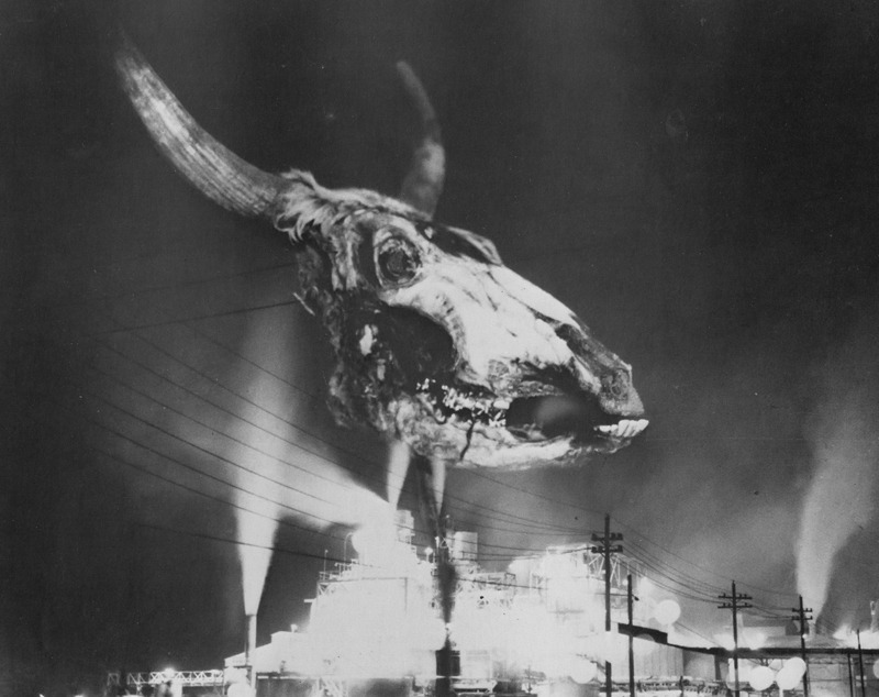 untitled projection of the skull of a cow killed by pollutants above a Florida phosphate