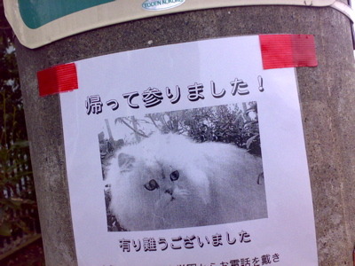 noriichi:  cocokashi-co:  gkojaxmeetsrebloggersuptown:  sampler:  elephantman75:
