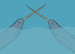NARWHAL FIGHT!  *goes to get popcorn*  The