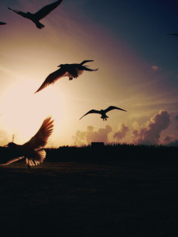 (via beautyinphotography, cacaococoa)