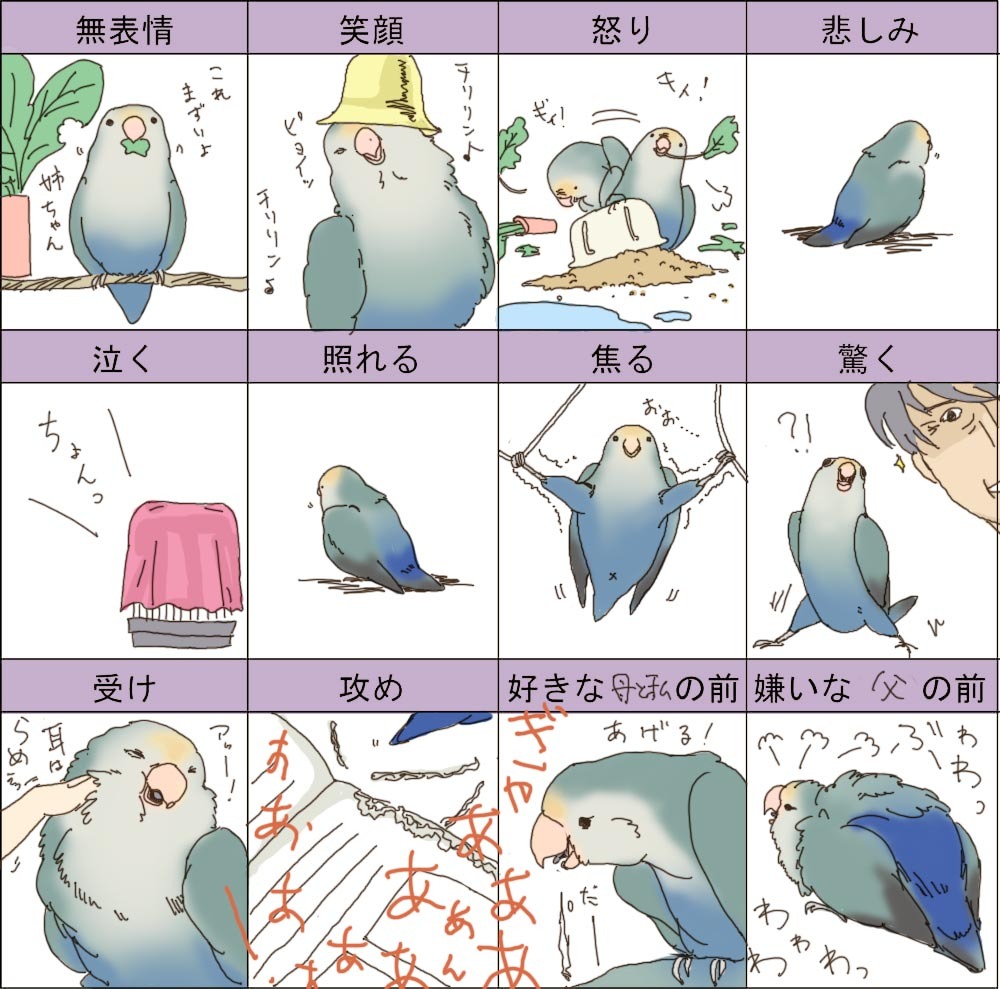 Dreamlike Every Day Tickapecka 表情練習 コザクラインコ亜種 フィズバズ お題消化中 のイラスト