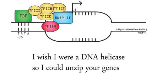 Porn Pics One of my favorite genetics pick-up lines…