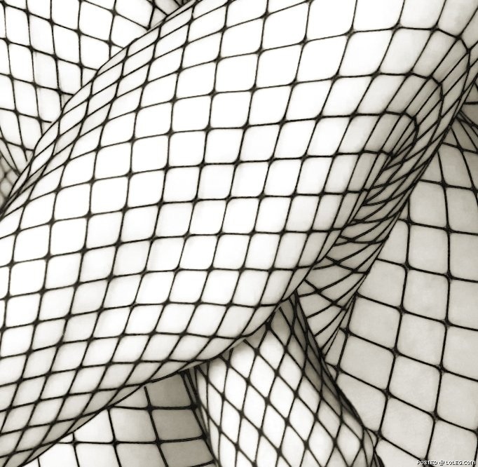 curvature:  Photo: dpavlov, Network Solution (via beyondporno : soulero : yuckytuna
