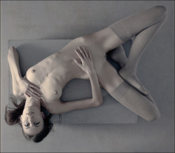 violetvoice:  soft geometry III by *photoport on deviantART
