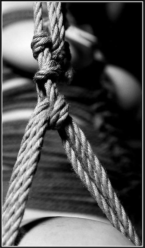 restraint:  sylvia-tom:  Gefunden 07.03.2009 