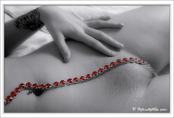 Via Ruby, Ruby, Ruby, Ruby By =Photoswithattitude On Deviantart