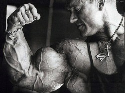 roughmuscle:  Lee Priest 