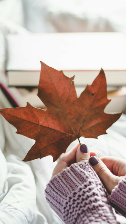 lockscreenhis: autumnlike or reblog if u save it