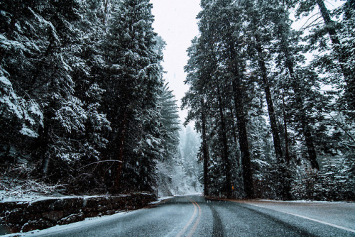 jasonincalifornia:Winter Wonderland Dreaming - Sequoia National ParkSociety6/Prints