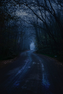 magicalnaturetour:  Autumn dark path. by