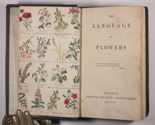 michaelmoonsbookshop: michaelmoonsbookshop: Lovely bright hand coloured plates in The Language of Fl