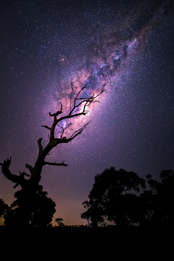 etherealvistas:  Rising Milky Way (Australia) by   Tim Wood 