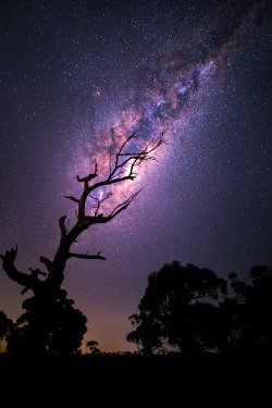 etherealvistas:  Rising Milky Way (Australia) by   Tim Wood 