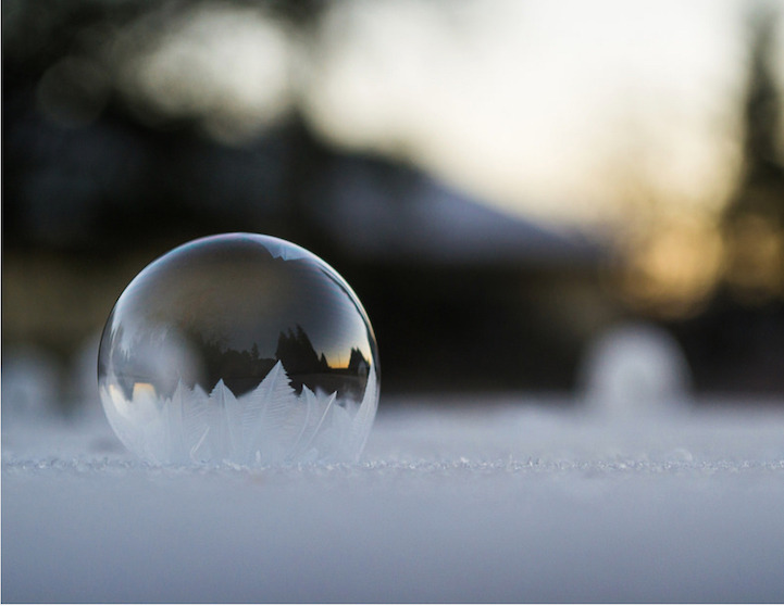 mymodernmet:  Each winter, when the temperature dips into the negatives, Washington-based