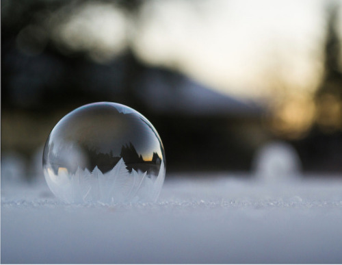 mymodernmet:  Each winter, when the temperature dips into the negatives, Washington-based photographer Angela Kelly takes advantage of the frigid weather and blows bubbles that freeze and form beautiful patches of ice crystals. The breathtaking results,