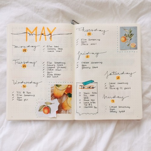 studyincafe: June 4, 2018 • wow hello! I haven’t posted a proper weekly spread in ages. T