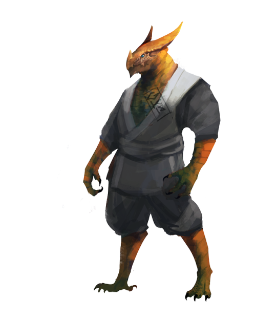 noredditorhere: gauntes: bronze dragonborn monk sorry not sorry let me help you with that