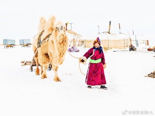 Winter life for people living in Buryat, Hulun Buir Grassland. Photo by 诺恩吉雅HL.