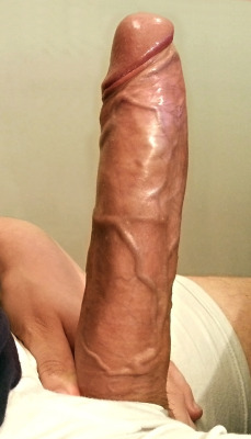 big-cocks-only:  Big Cocks Only:  Perfectly veined beautifully polished hard on. Almost looks like it was made out of wax. Who’s up for a ride on this bad boy?…  