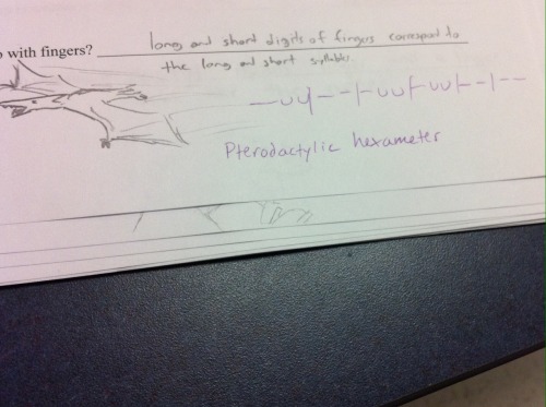 interretialia:magistralife:Sometimes grading is fun.  Ecce Hexameter Pterodactylicus!