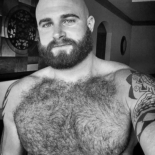hairychestg:  abeautifulindiscretion:  Bear In Mind   hairychestg 