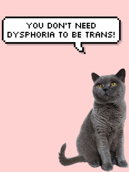 salve-terrae-magicae:some trans and nonbinary positivity cats for you!!