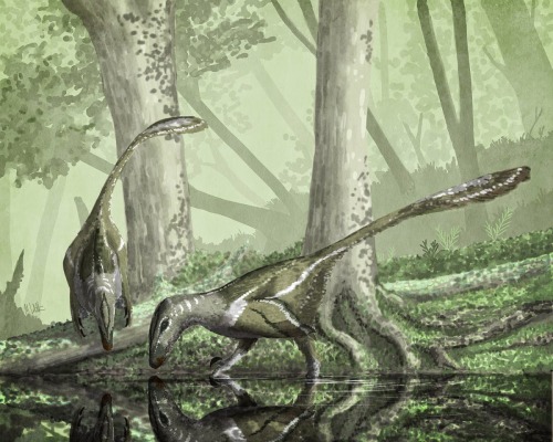 Deinonychus pair in the swamps, by Mark Witton | Print :“(…) The Early Cretaceous dromaeosaur