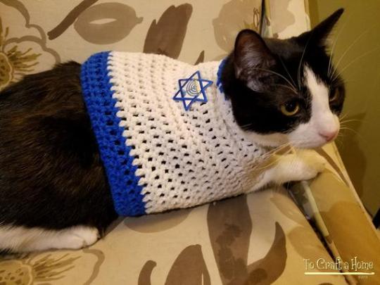 tami-taylors-hair:yehudah:compilationHappy Hanukkah to all my Jewish human friends and Happy Hannukkat to their cats!