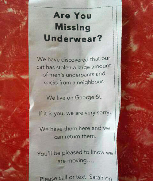 The funny thing about this? So MANY of these “clothing thieves” (underwear or otherwise) are SIAMESE