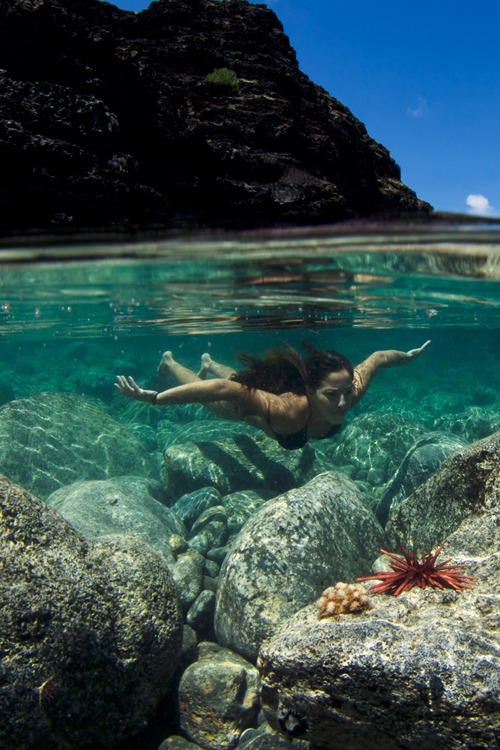 plasmatics-life:  Tidepool in Hawai’i - {by David Slater} | {Follow on 500PX}