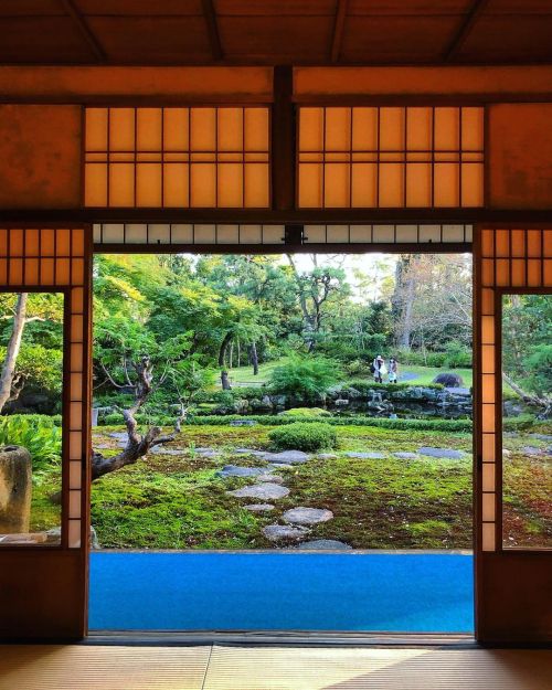 旧三井家下鴨別邸 [ 京都市左京区 ] Old Mitsui Family Shimogamo Villa Garden, Kyoto カフェスペースより。青い絨毯好きなんですよねー。 . 三井財閥1