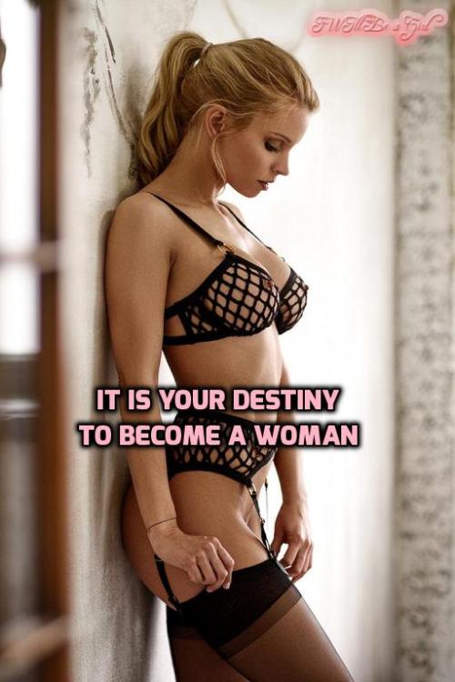 i-am-donna: And I have fulfilled mine