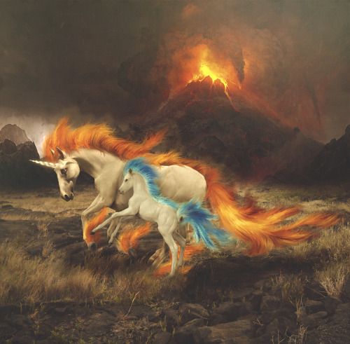 I got bored today so decided to make realistic versions of Rapidash and shiny Ponyta. I took a more 