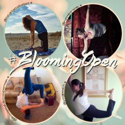 runmiles-smile:  fatgirlgetsfitatlast:  ANNOUNCING The Blooming Open March Yoga Challenge!Come join your hosts: Savannah - yogipeachMelanie - runmiles-smile Tabby -  fromsmallvilletosupermanValencia -  fatgirlgetsfitatlast…for a spring challenge