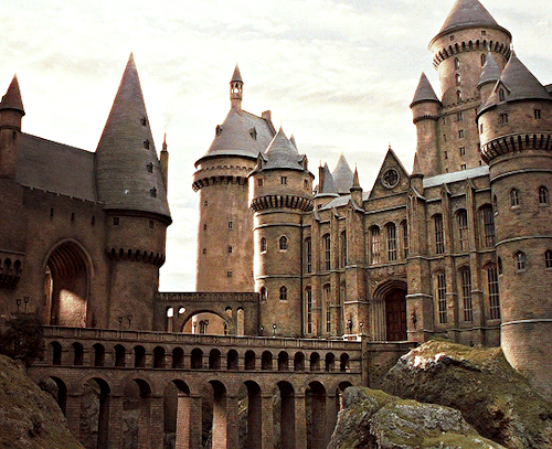 It Was A Dream, I Dreamed A Giant Called Hagrid Came To Tell Me I Was Going To A School For Wizards.