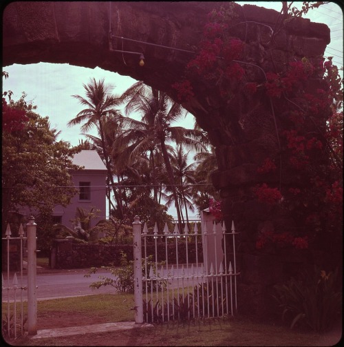twoseparatecoursesmeet: Kailua, 1960s Doris Thomas